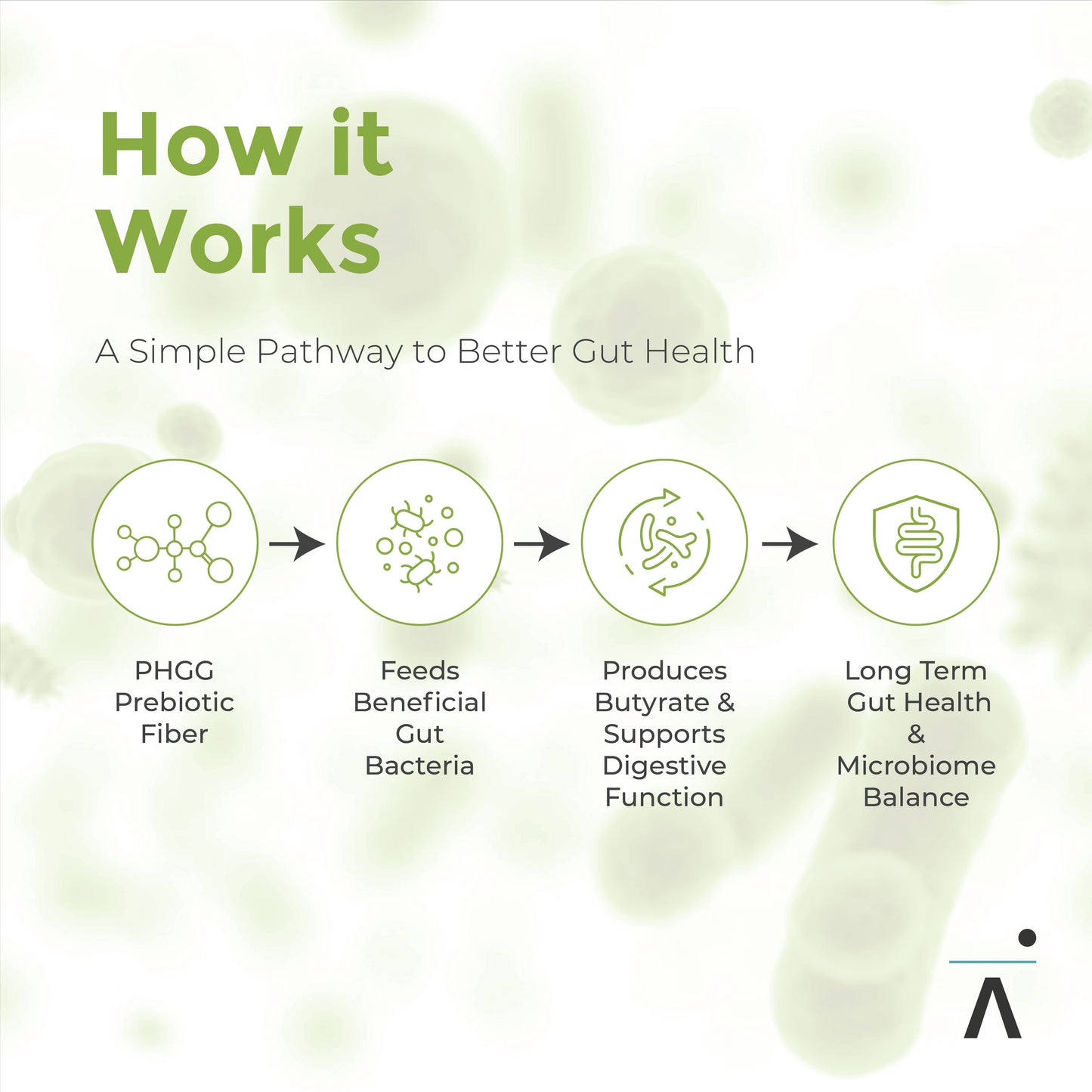 Diagram explaining how PHGG leads to be better gut health by feeding beneficial gut bacteria and enhancing butyrate production.  Icons and text on a light green background.