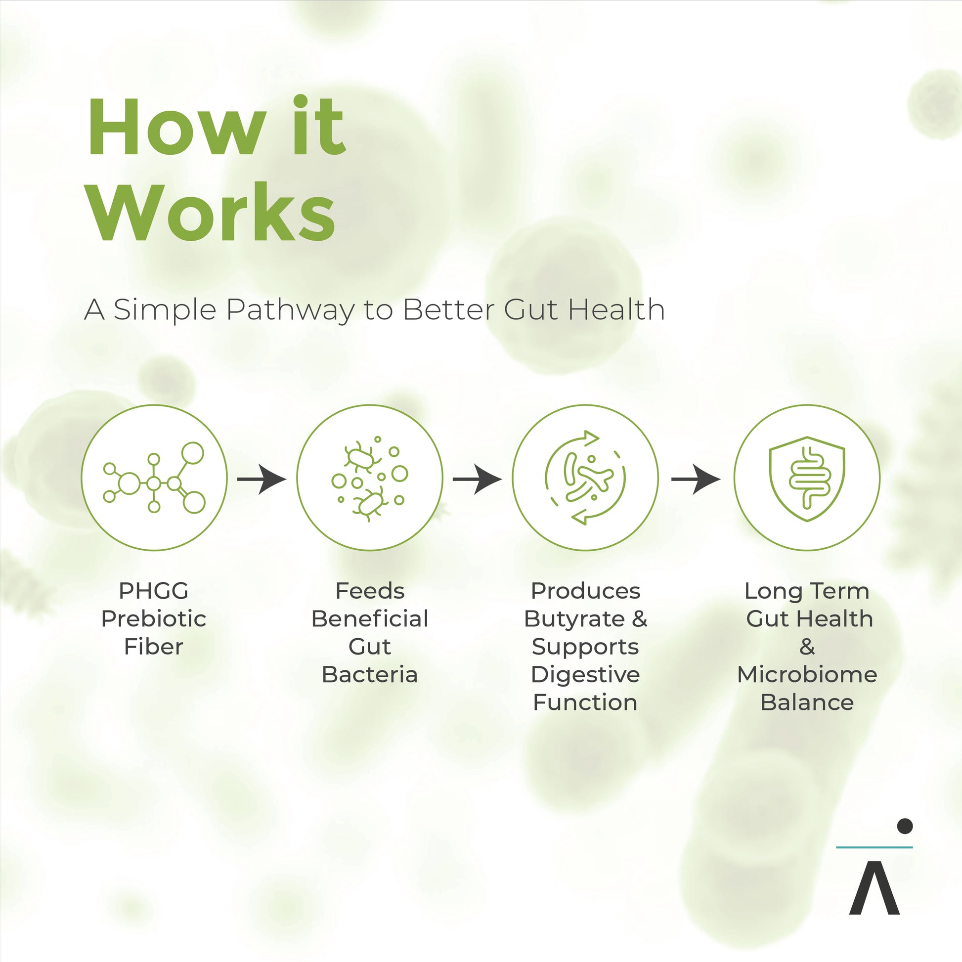 Diagram explaining how PHGG leads to be better gut health by feeding beneficial gut bacteria and enhancing butyrate production.  Icons and text on a light green background.
