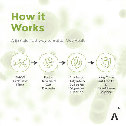 Diagram explaining how PHGG leads to be better gut health by feeding beneficial gut bacteria and enhancing butyrate production.  Icons and text on a light green background.