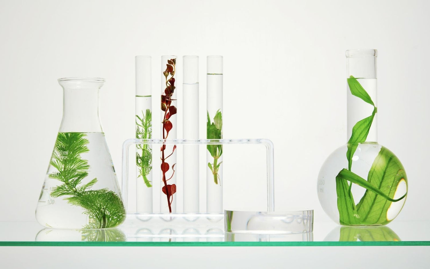 Laboratory glassware with green plant samples representing Axis BioLabs' clinical and natural approach to supplements.